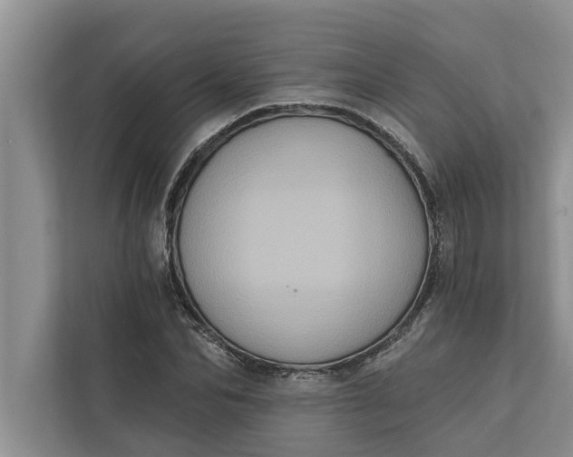 X0000112350974200908271229