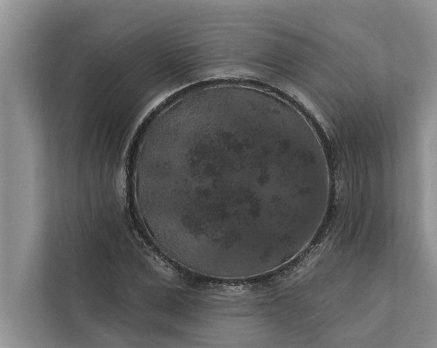 X0000112350975200908271229