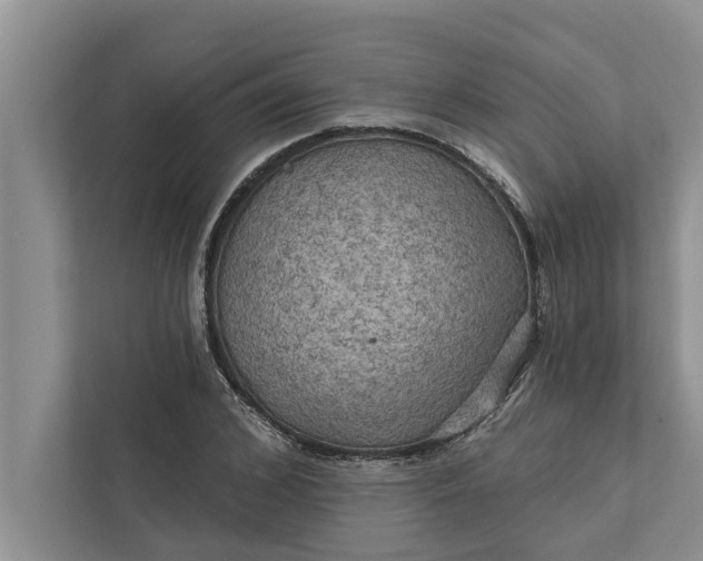 X0000112350976200908271229