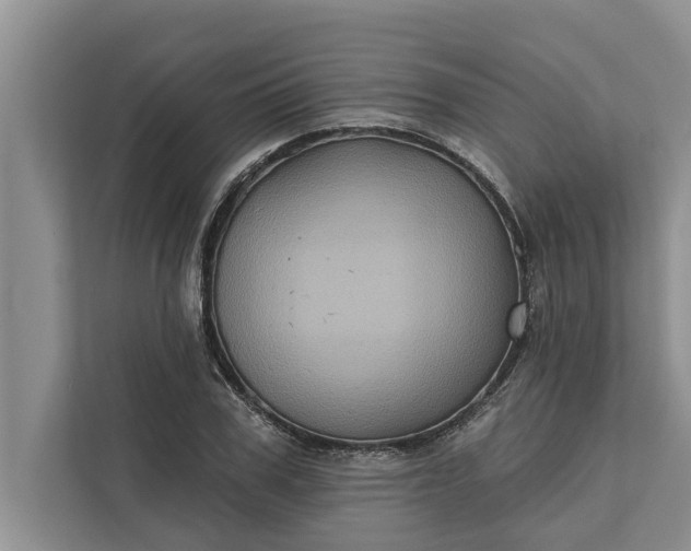 X0000112350979200908271229