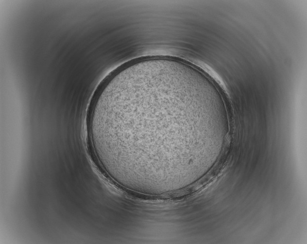 X0000112350980200908271229