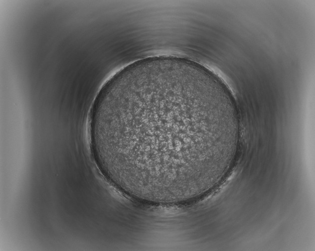 X0000112350983200908271229