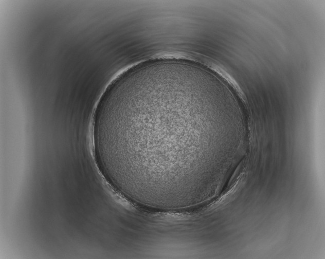 X0000112350984200908271229