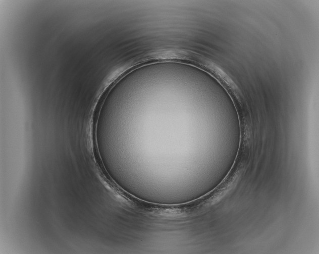 X0000112350986200908271229