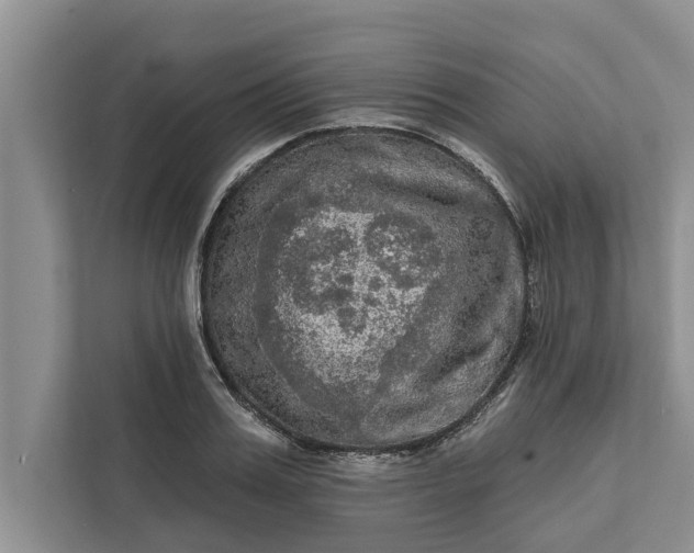 X0000112350987200908271229