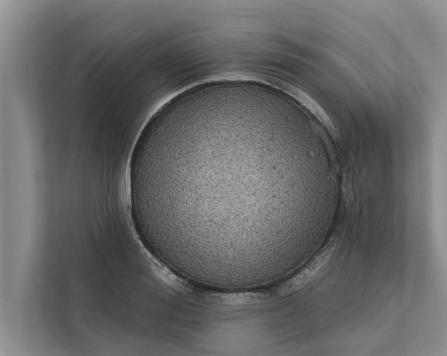 X0000112350988200908271229