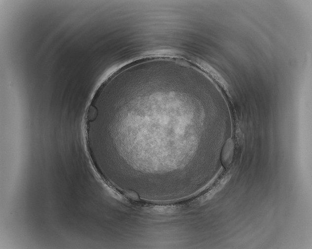 X0000112350989200908271229