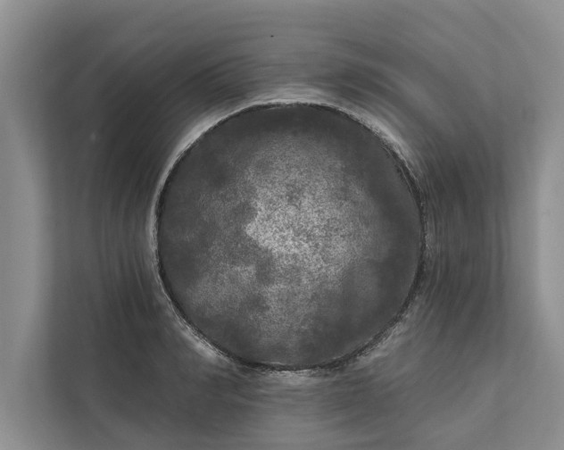 X0000112350990200908271229