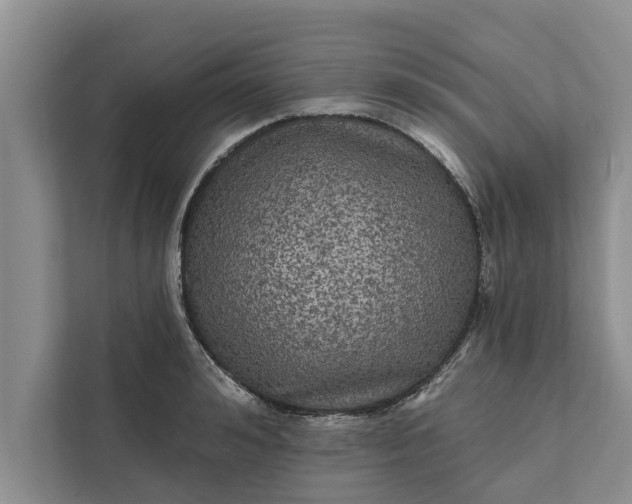 X0000112350992200908271229