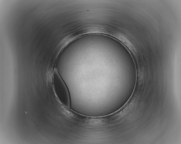 X0000112350993200908271229