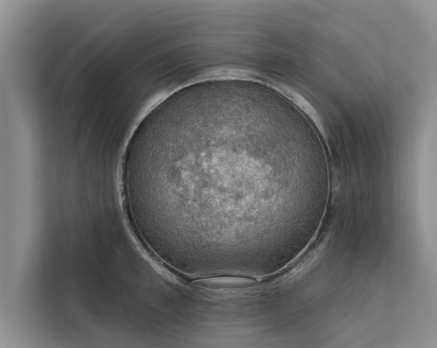 X0000112350997200908271229