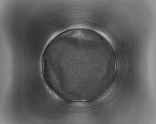 X0000112350998200908271229