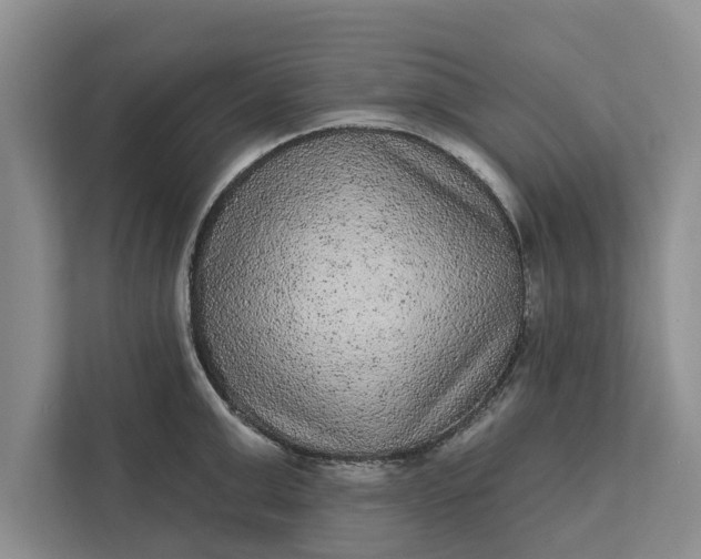 X0000112350999200908271229