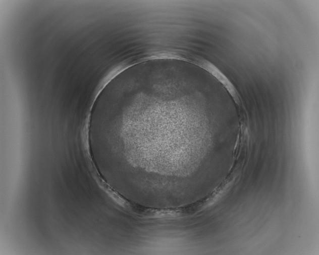 X0000112351002200908271229