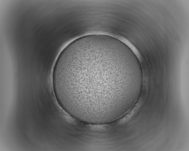 X0000112351004200908271229