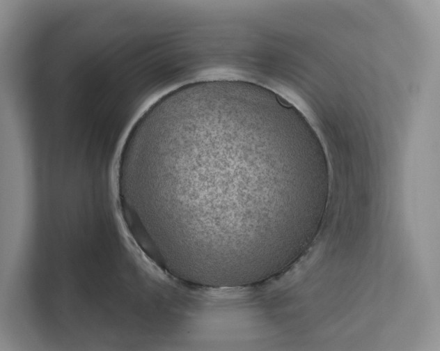 X0000112351008200908271229