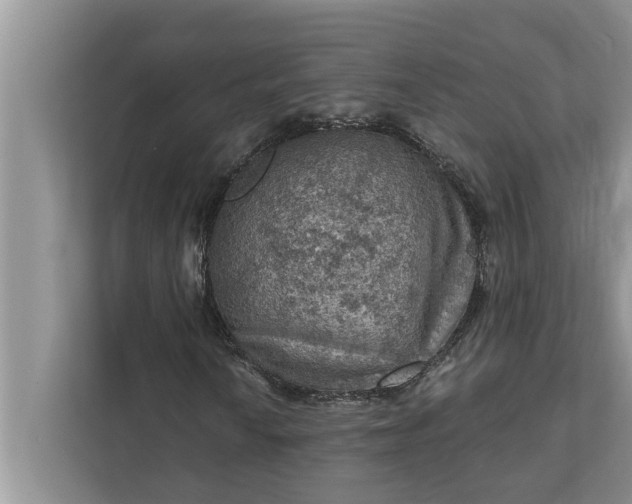 X0000112351010200908271228