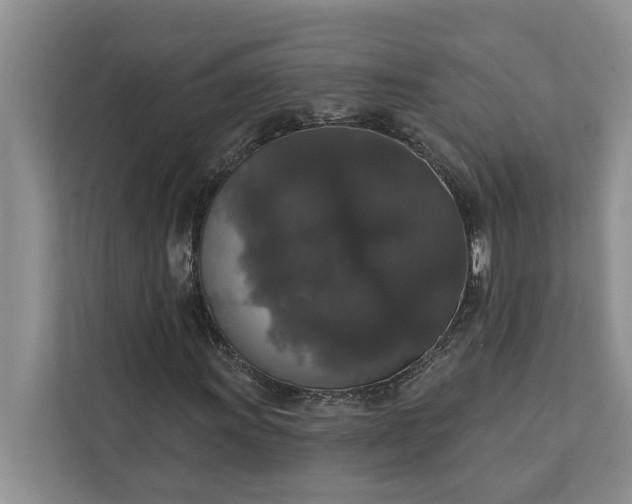 X0000112351011200908271228