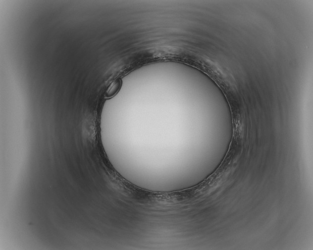 X0000112351012200908271228