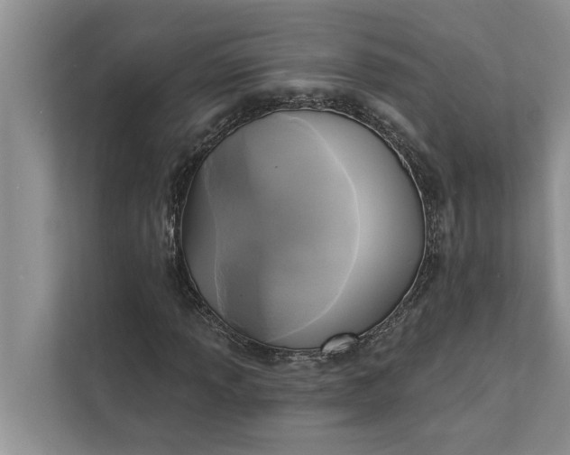 X0000112351013200908271228