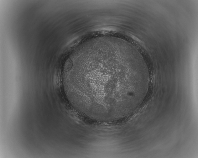 X0000112351014200908271228