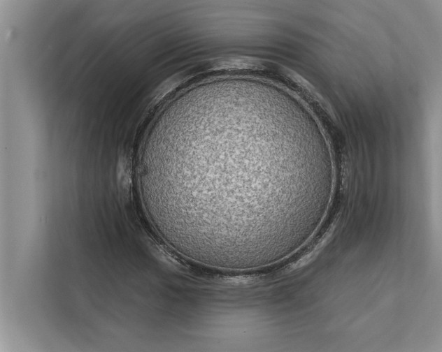 X0000112351017200908271228