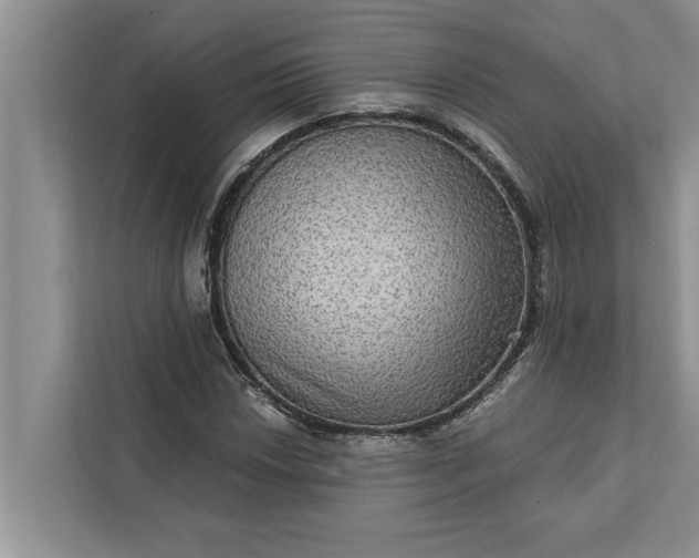 X0000112351018200908271228