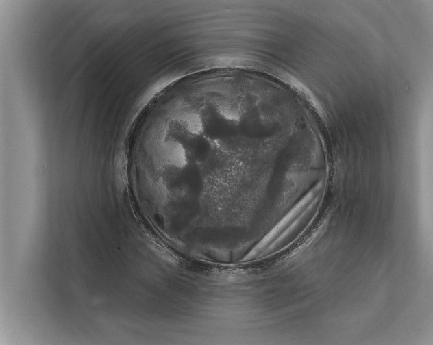 X0000112351019200908271228