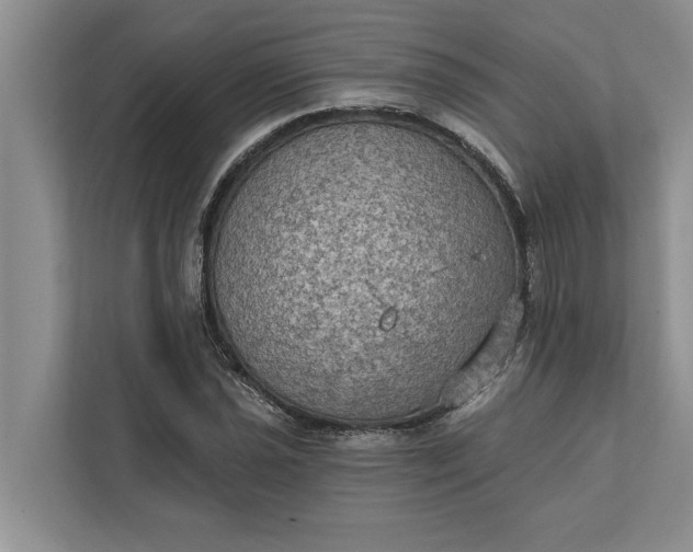 X0000112351021200908271228