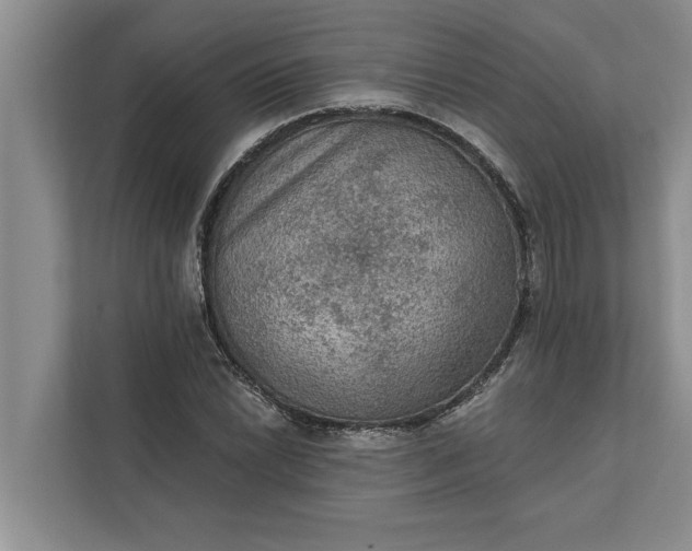 X0000112351022200908271228