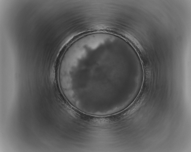 X0000112351023200908271229