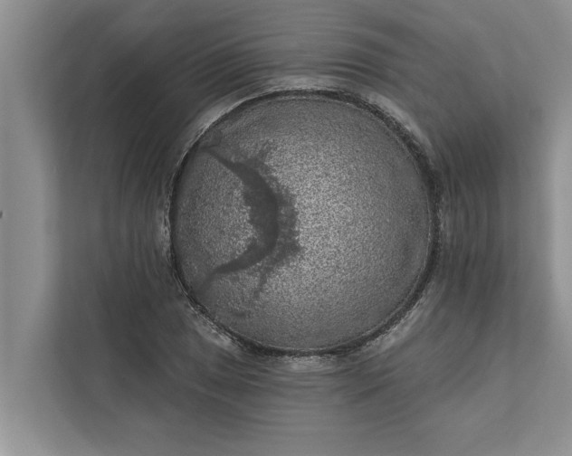 X0000112351025200908271229