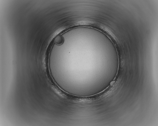 X0000112351026200908271229