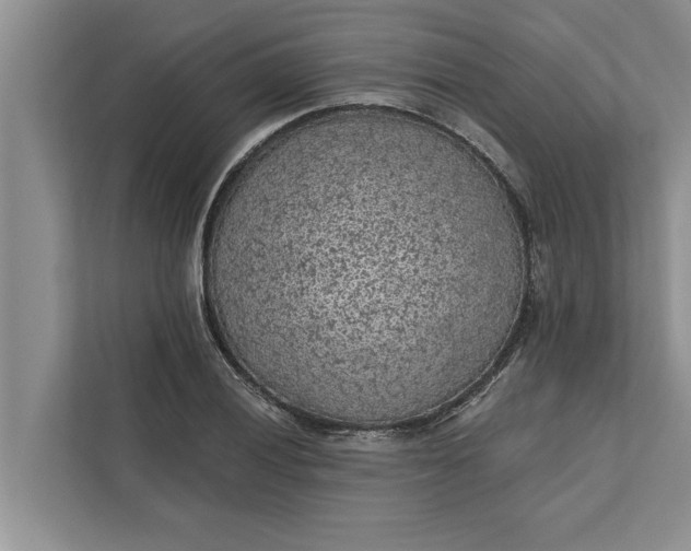 X0000112351028200908271229