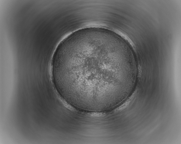 X0000112351029200908271229