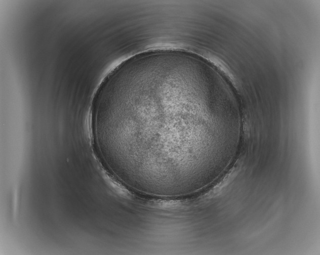 X0000112351030200908271229