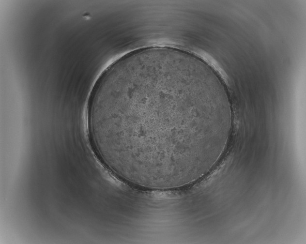 X0000112351032200908271229