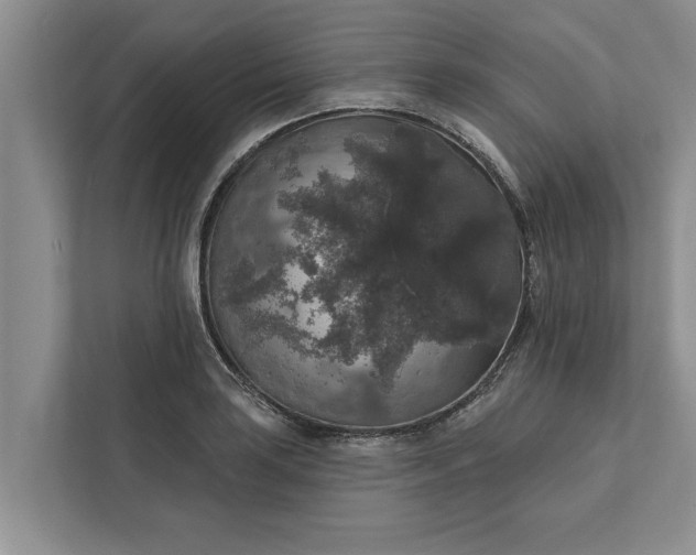 X0000112351035200908271229