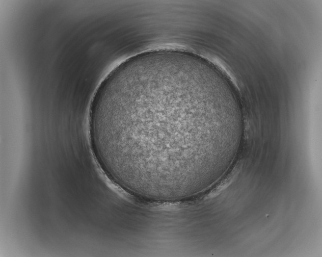 X0000112351038200908271229