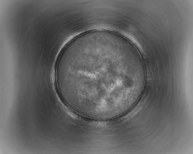 X0000112351040200908271229