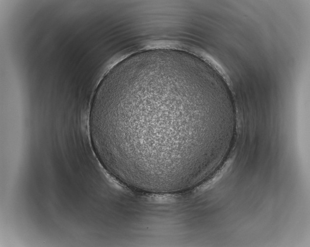 X0000112351041200908271229