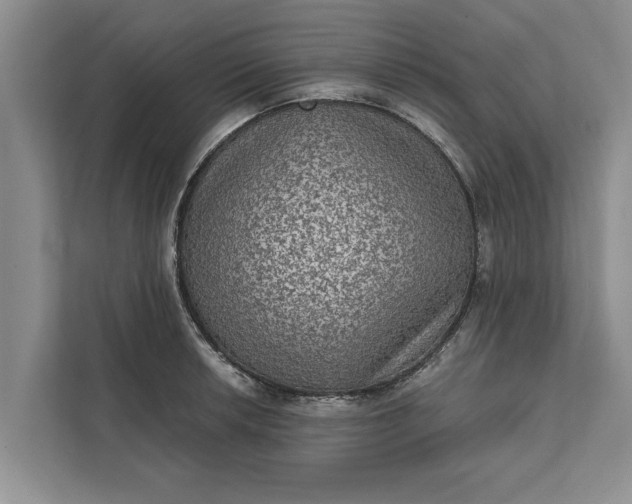 X0000112351042200908271229