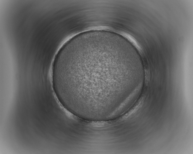 X0000112351046200908271229