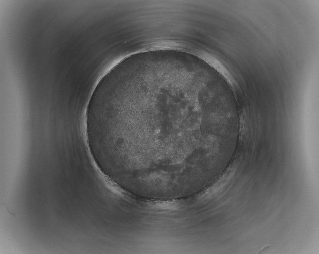 X0000112351047200908271229