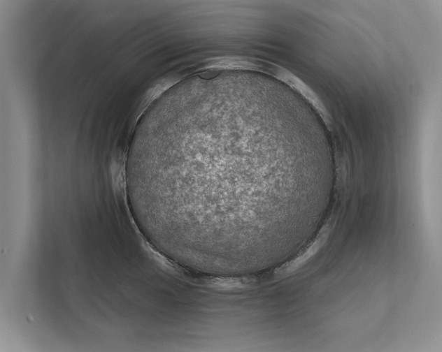 X0000112351049200908271229