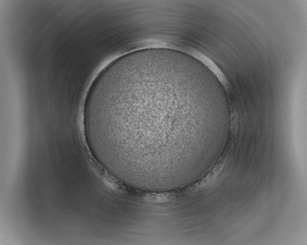 X0000112351051200908271229