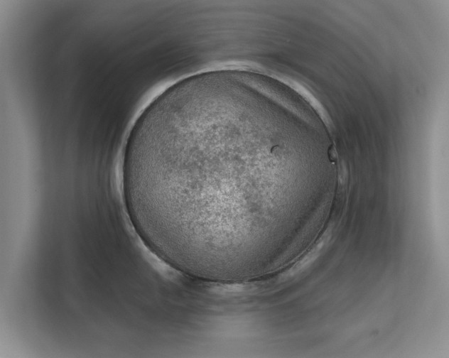 X0000112351054200908271229