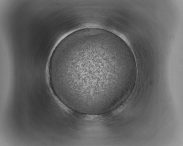 X0000112351056200908271229