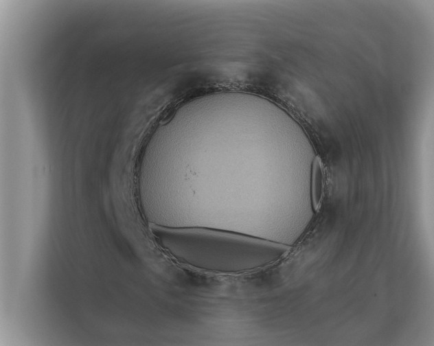 X0000112351057200908271228