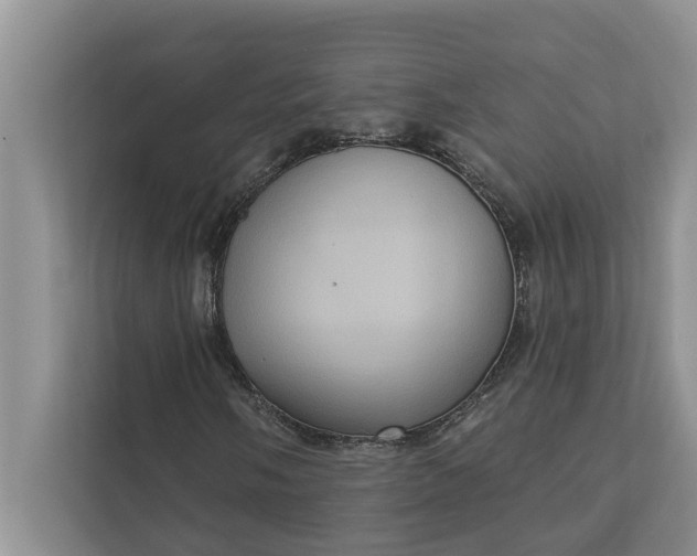 X0000112351058200908271228